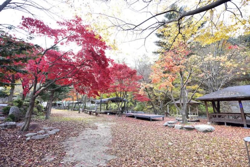 유명산밸리캠핑장 사진 2