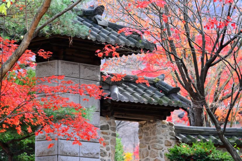 유명산밸리캠핑장 사진 8