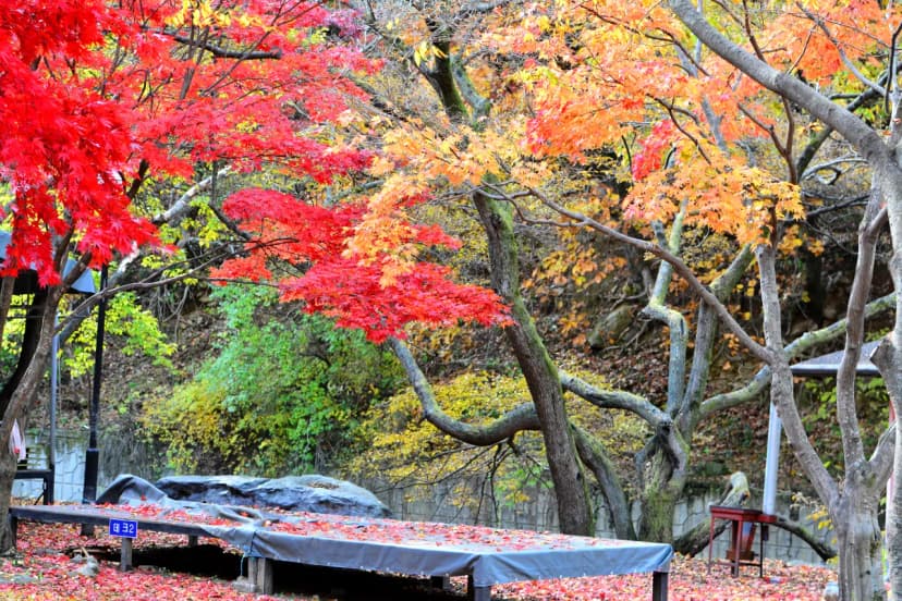 유명산밸리캠핑장 사진 9