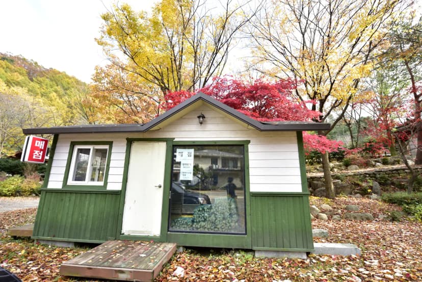 유명산밸리캠핑장 사진 10