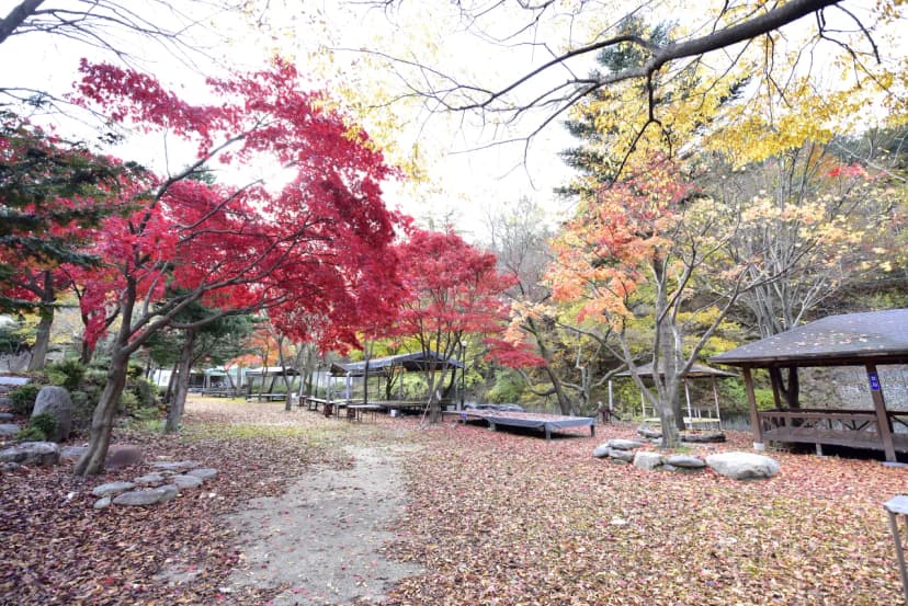 유명산밸리캠핑장 사진 11