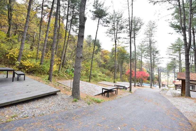 유명산힐링캠프 사진 6