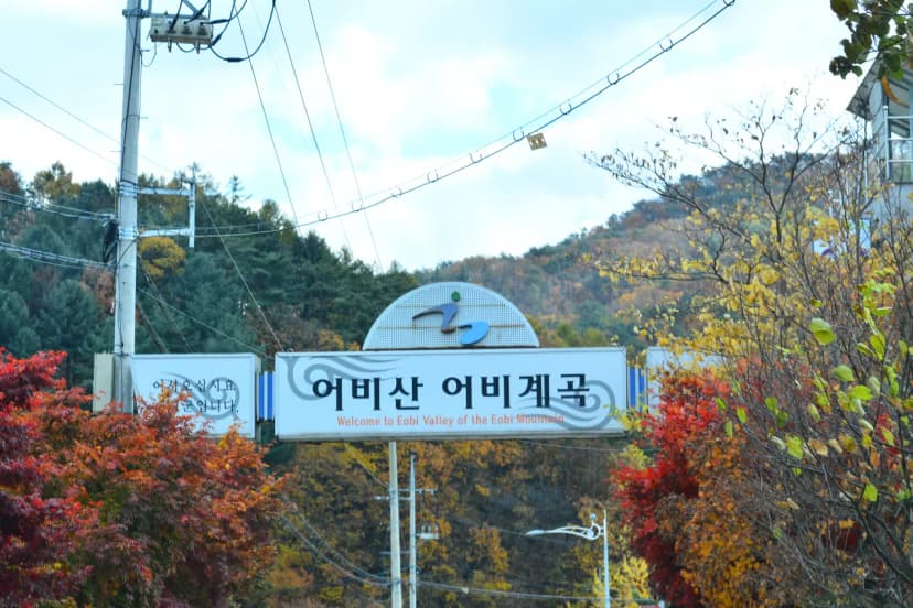 유명산힐링캠프 사진 18