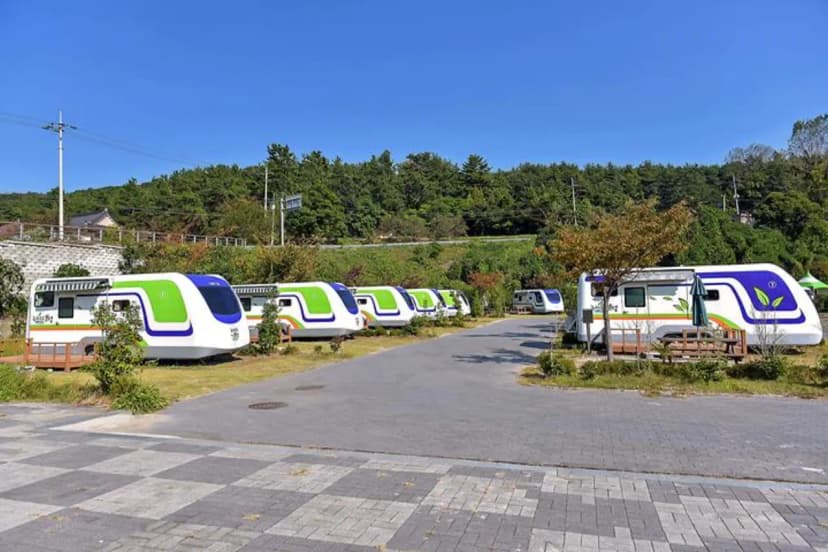 율포오토캠핑장 사진 2