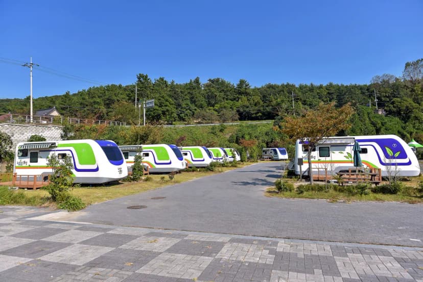 율포오토캠핑장 사진 7