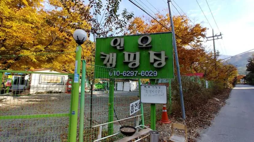 황정민 글램핑