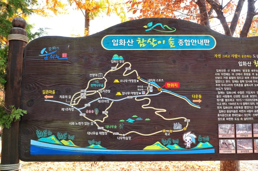 입화산참살이숲야영장 사진 2