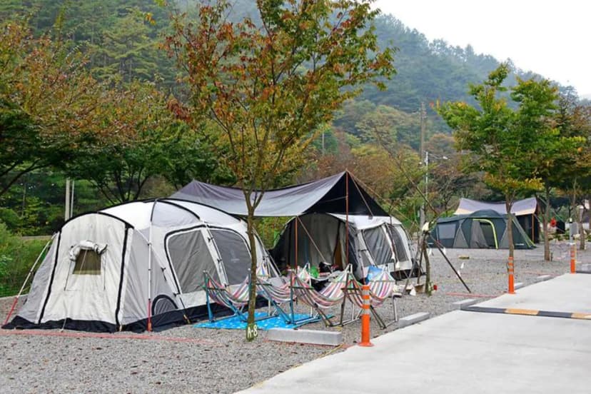 장수방화동캠핑장 사진 2
