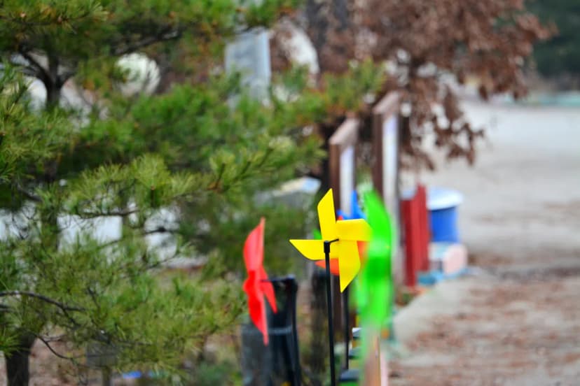 장수자연관광농원 사진 14