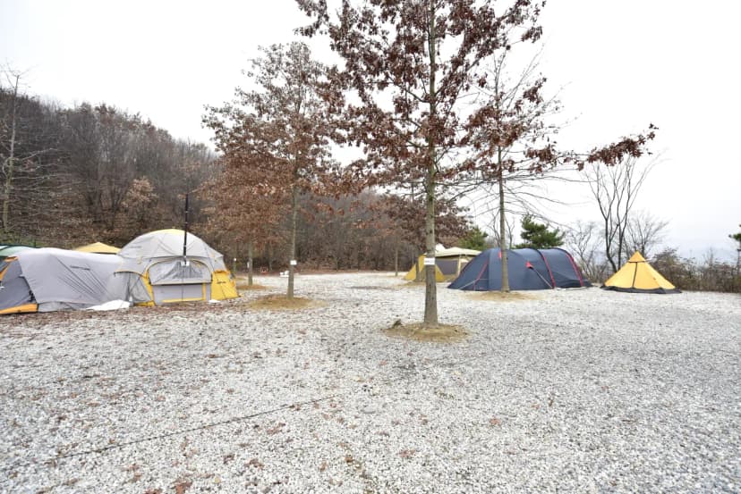 장수자연관광농원 사진 15