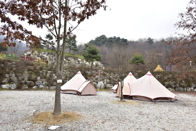 장수자연관광농원 사진 19