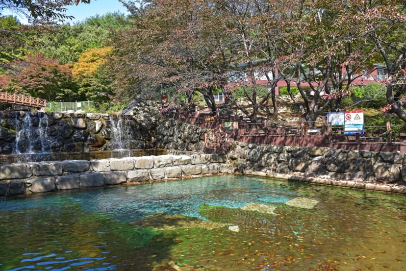 제암산자연휴양림 야영장 사진 2