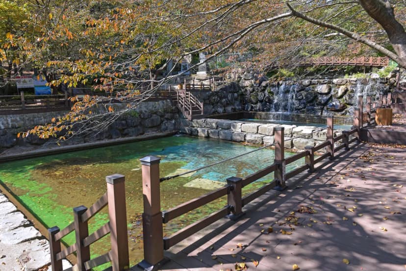 제암산자연휴양림 야영장 사진 4