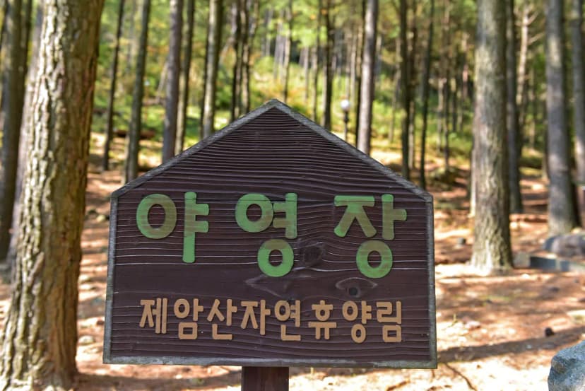 제암산자연휴양림 야영장 사진 9