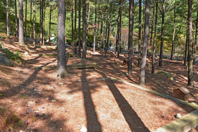제암산자연휴양림 야영장 사진 13