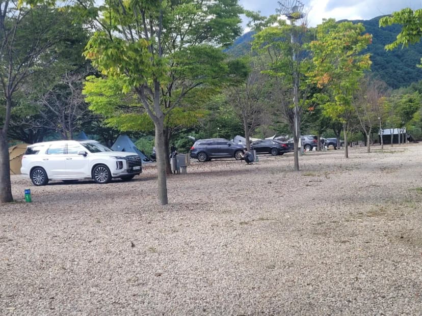지리산 당근 오토캠핑장 사진 12