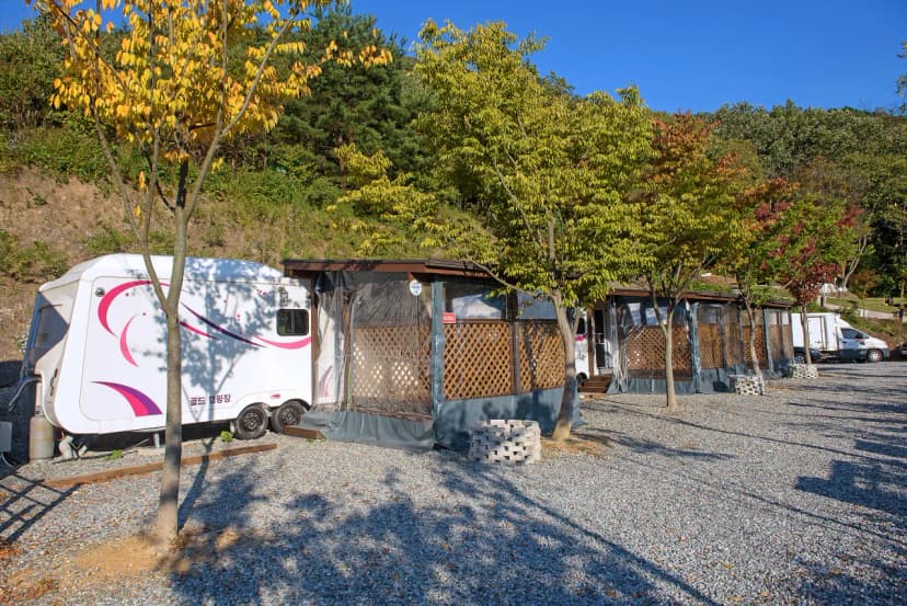 추월산골드캠핑장 사진 10