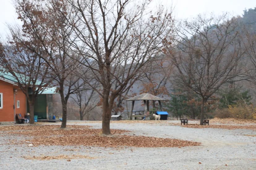 수피다 캠핑장 사진 8
