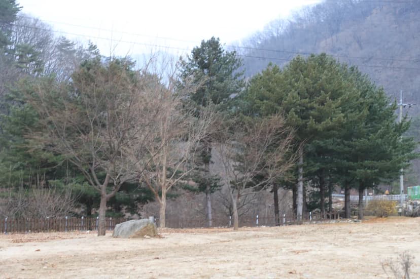 수피다 캠핑장 사진 12