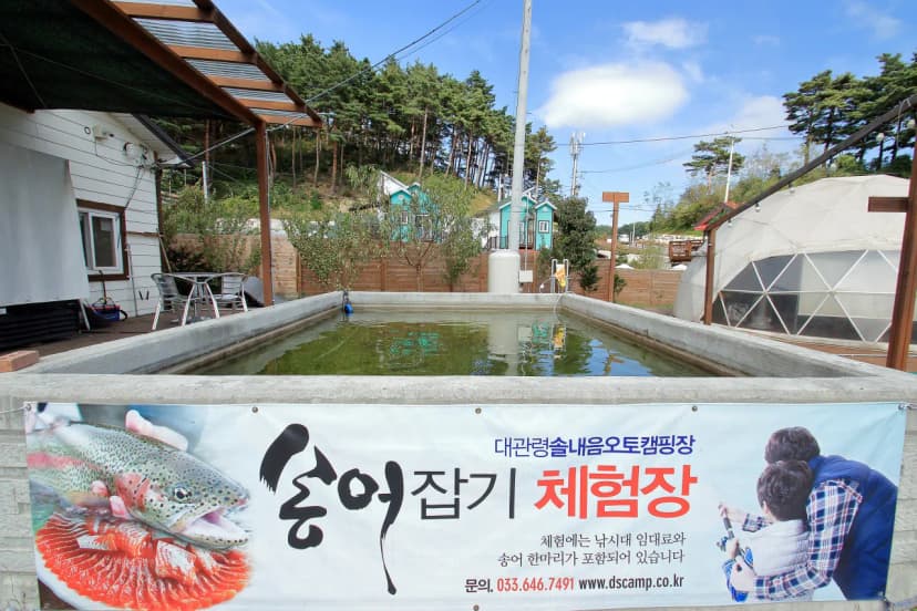 대관령 솔내음 오토 캠핑장 사진 4