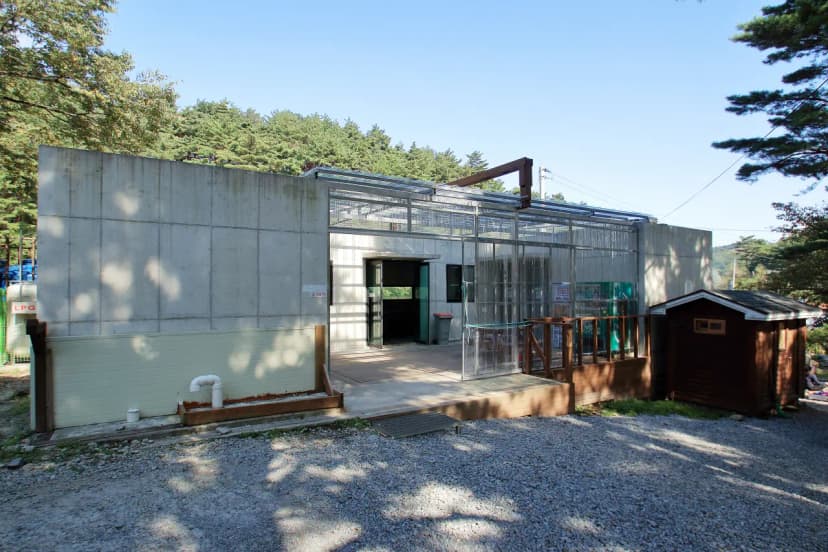 대관령 솔내음 오토 캠핑장 사진 16
