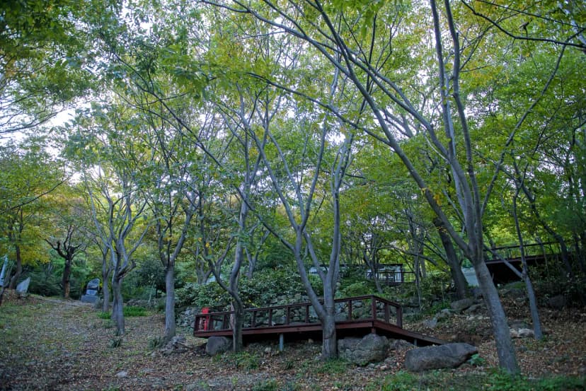 하느제 캠핑장 사진 11