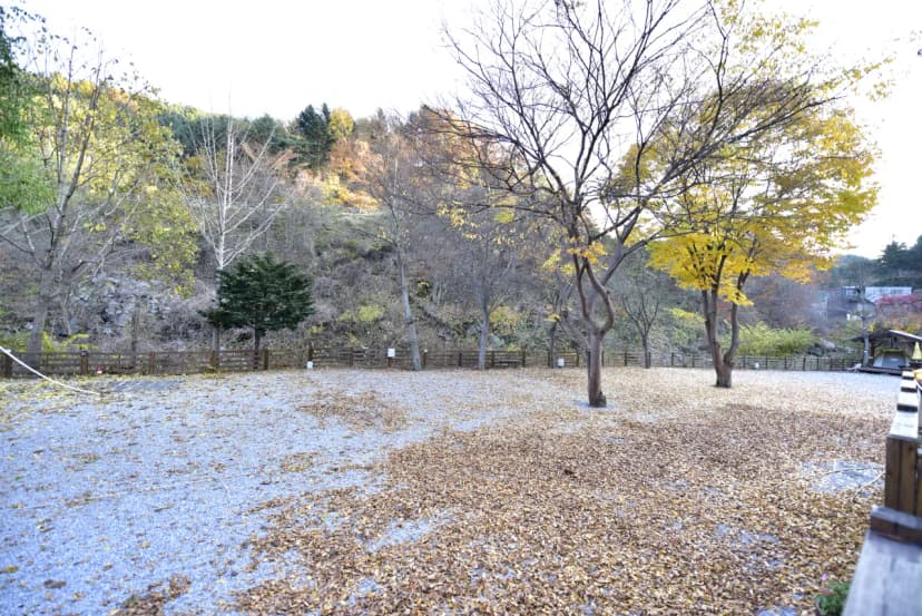 화야 캠핑장 사진 11