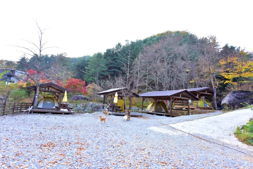 화야 캠핑장 사진 15