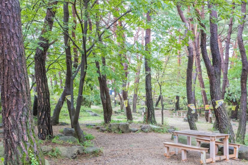 솔내음 캠핑장 사진 13