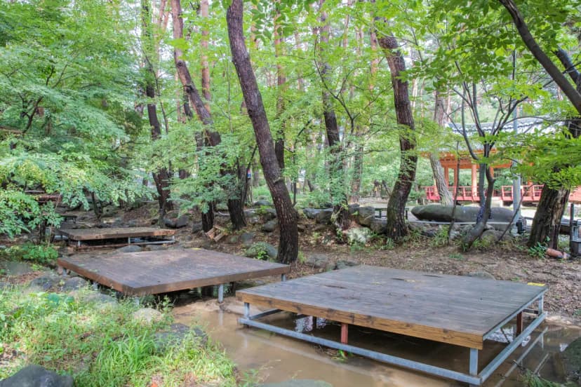 솔내음 캠핑장 사진 18