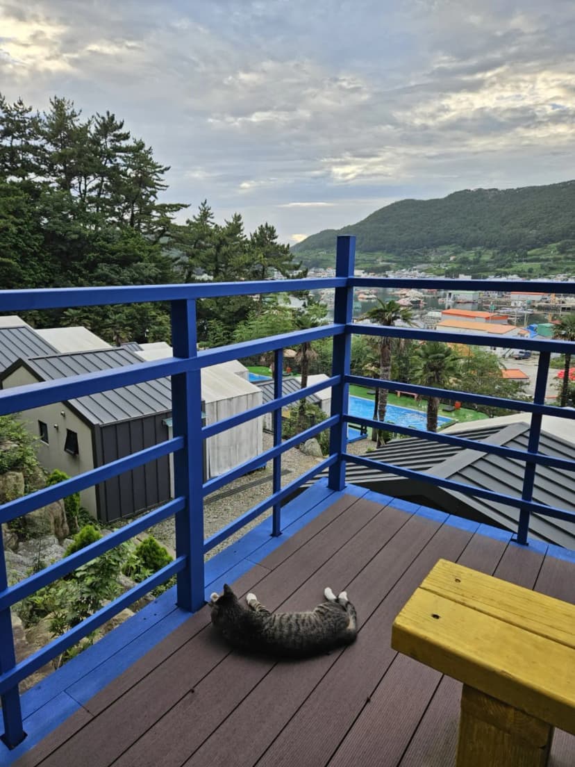 통영 편백숲길관광농원 캠핑장 사진 17