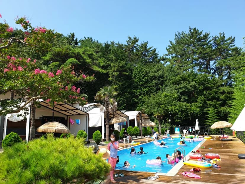 통영 편백숲길관광농원 캠핑장 사진 19