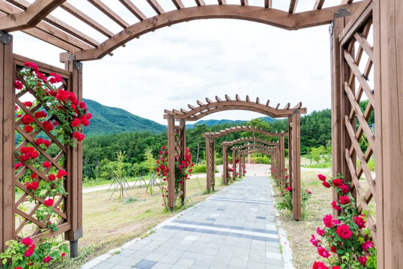 위천수변 테마공원 사진 5
