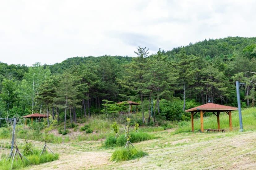 위천수변 테마공원 사진 7