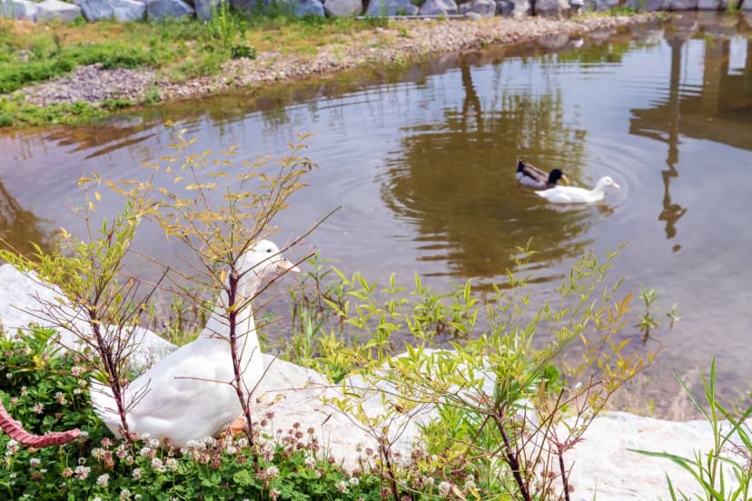위천수변 테마공원 사진 8