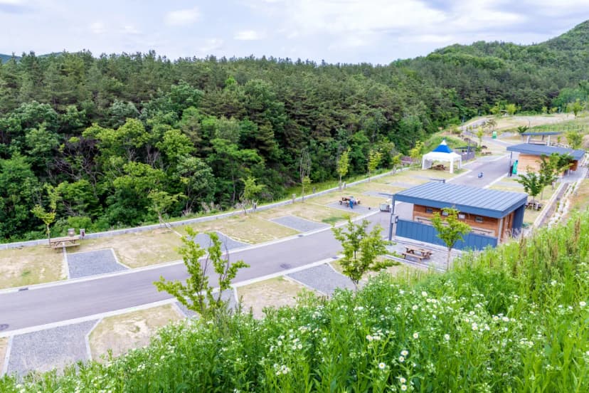 위천수변 테마공원 사진 11
