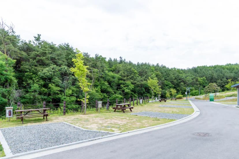 위천수변 테마공원 사진 17