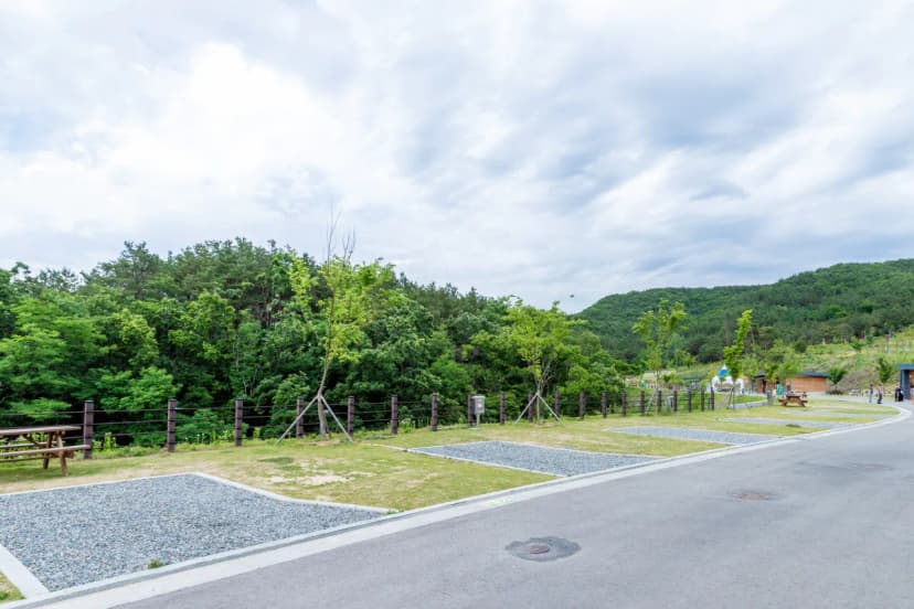 위천수변 테마공원 사진 18