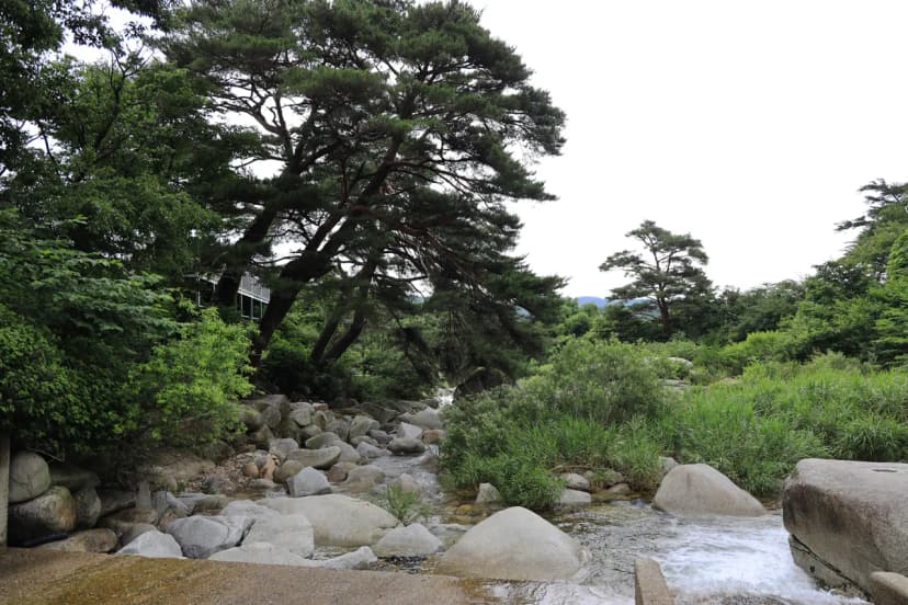늘예솔 캠핑장 사진 17