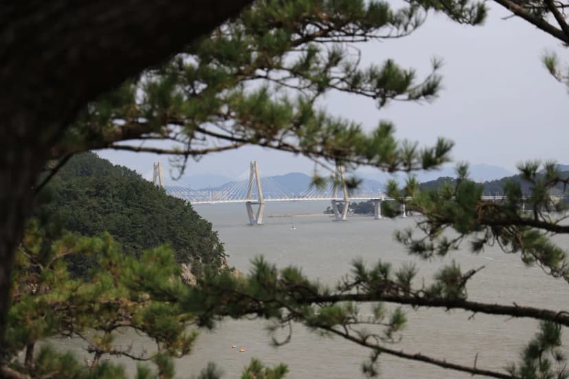 궁농오토캠핑장 사진 4