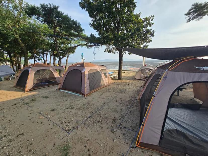 동막리 마을회 사진 2