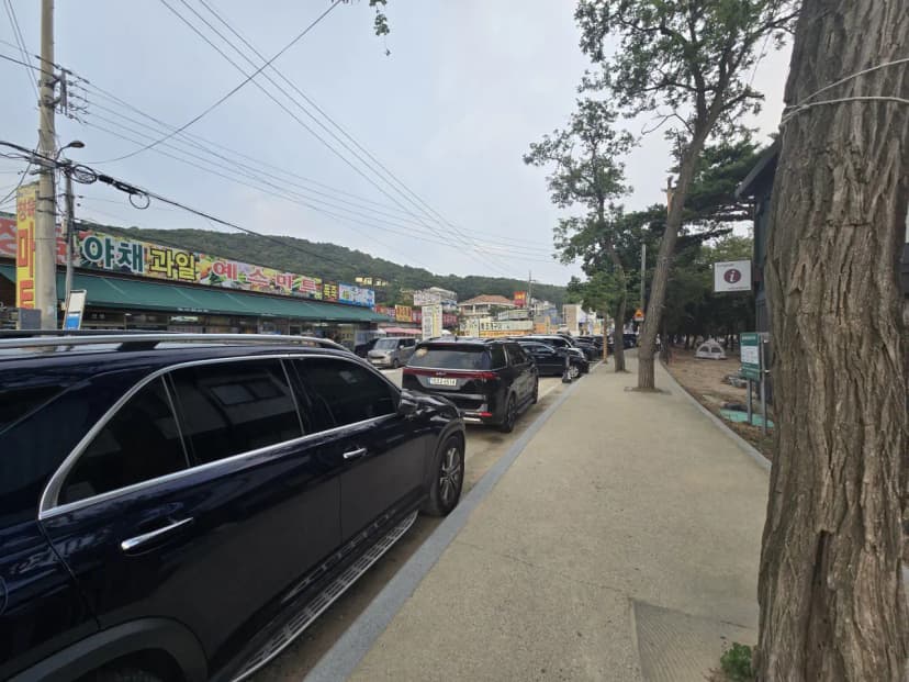 동막리 마을회 사진 6