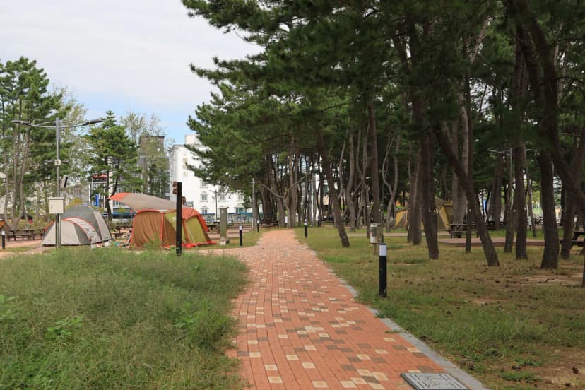 울주해양레포츠센터 야영장 사진 12