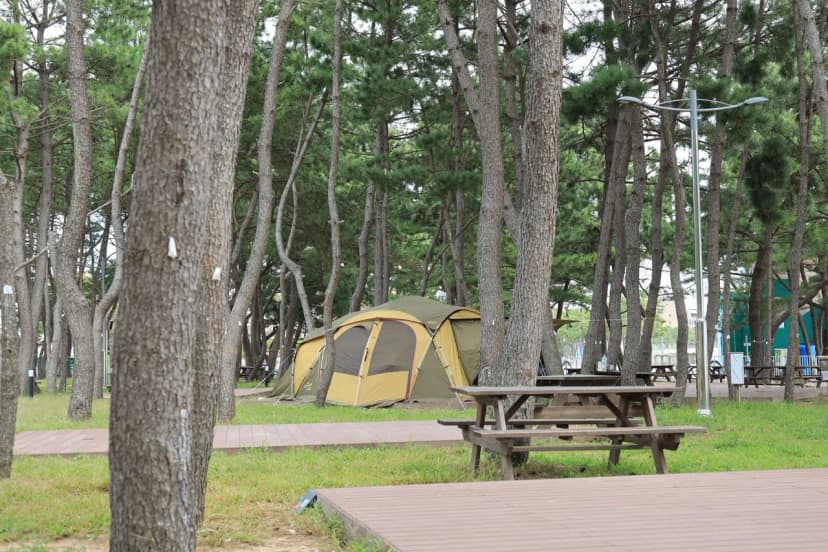 울주해양레포츠센터 야영장 사진 16