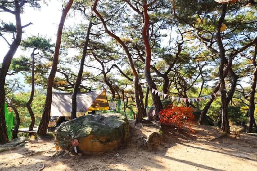 북한산농바위캠핑장