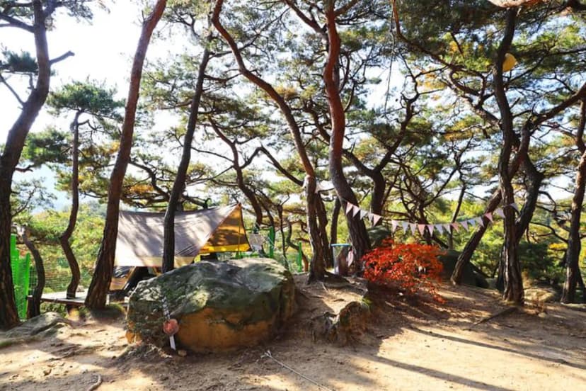 북한산농바위캠핑장 사진 3