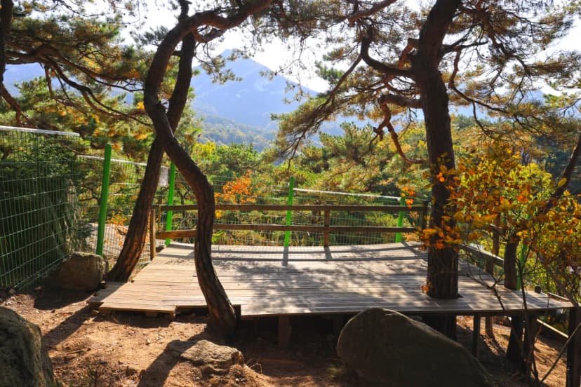 북한산농바위캠핑장 사진 13