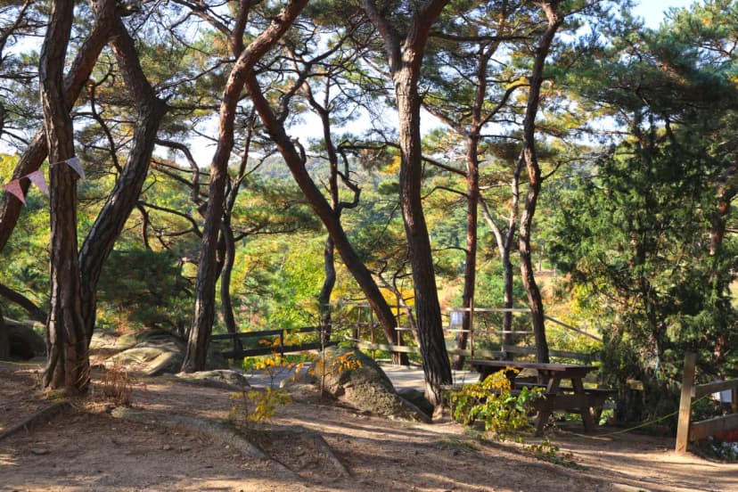 북한산농바위캠핑장 사진 17