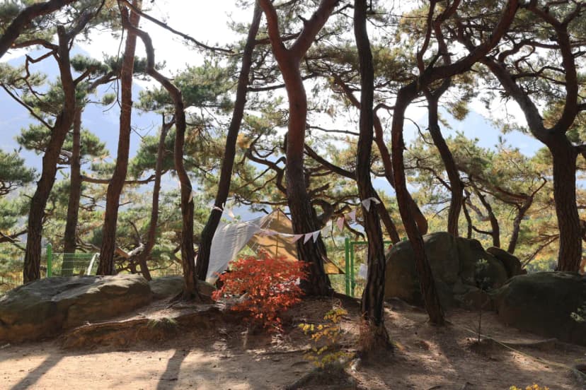 북한산농바위캠핑장 사진 18