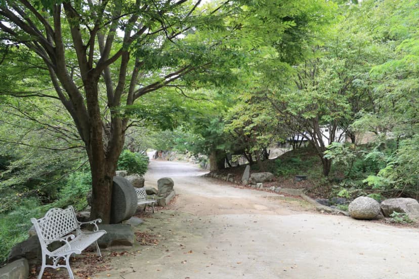 안성운모석캠핑장 사진 11